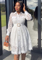 Women French Elegant Lace Long Sleeve Turndown Collar Lace Up Autumn Dress