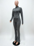 Women Stand Collar Stretch Long Sleeve Thumb Hole Top & Pants Two Piece Set