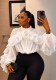 Women’s Irregular Ruffle Mesh Pullover Ruched Long Sleeve Chic Top