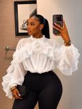 Women’s Irregular Ruffle Mesh Pullover Ruched Long Sleeve Chic Top