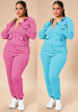Plus Size Women Casual Hooded Top and Pants Two Piece Set