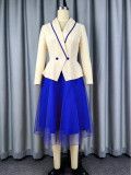 Women’s Fall Fashion Color Block A-Line Mesh Patchwork High Waist Long Sleeve Turndown Collar Dress