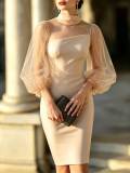 Women’s Mock Neck See-Through Mesh Sleeve Slim Fit Bodycon Formal Party Midi Dress