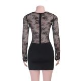 Women Sexy Lace Mesh Long Sleeve Bodycon Dress