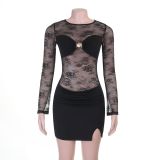 Women Sexy Lace Mesh Long Sleeve Bodycon Dress
