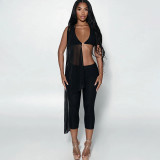 Women Summer Mesh Patchwork Crop Top and Pant Two Piece Set
