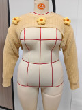 Women’s Plus Size Round Neck Floral Embellishments Cropped Sweater