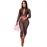 Women’s Polka Dot Long Sleeve Open Waist Top andSlim Fit Pants Set