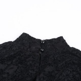 Women’s High Neck See Through Lace Long Sleeve Patchwork Fuzzy Bodycon Mini Dress