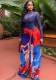 Women Color Block Sexy See-Through Round Neck Long Sleeve Holidays Dress