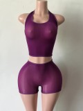 Women’s High Stretch Shiny Mesh Halter Neck See Through Two Piece Shorts Set