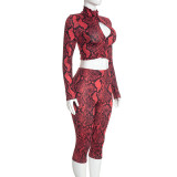 Women Fall Sexy Hollow Out Snake Print Long Sleeve Top & Capri Pants Two Piece Set