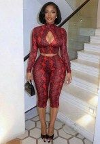 Women Fall Sexy Hollow Out Snake Print Long Sleeve Top & Capri Pants Two Piece Set Women Fall Sexy Hollow Out Snake Print Long Sleeve Top & Capri Pants Two Piece Set