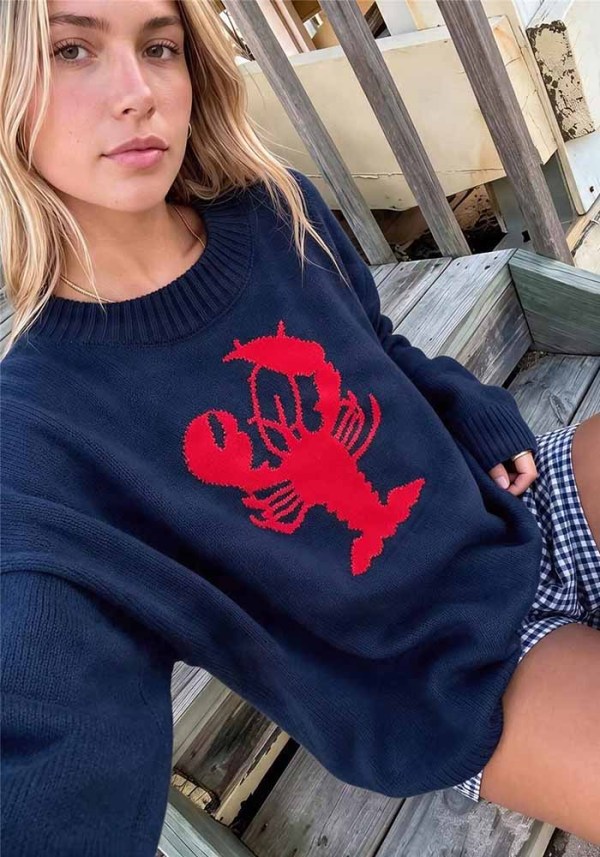 Women Jacquard Knit Round Neck Casual Sweater