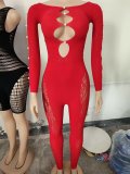 Women’s Sexy Pearl Leopard Print See Through Fishnet Long Sleeve Tight Fitting Bodystocking