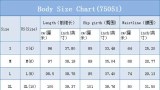 Women’s Spring Fall Fashion Tassel Stretch Skirt