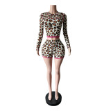 Women Leopard Print Stretch Long Sleeve Top and Lace Trim Shorts Two Piece Set