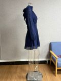 Women Fall Solid Chiffon Stand Collar Lantern Sleeve Bow Dress