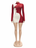 Fall Winter Women's Color Block Pattern High Neck Slim Fit Long Sleeve Dress