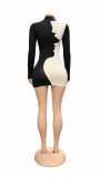 Fall Winter Women's Color Block Pattern High Neck Slim Fit Long Sleeve Dress