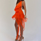 Women Party Tassel Halter Neck Sexy Backless Train Dress