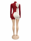 Fall Winter Women's Color Block Pattern High Neck Slim Fit Long Sleeve Dress