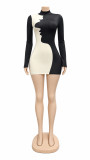 Fall Winter Women's Color Block Pattern High Neck Slim Fit Long Sleeve Dress