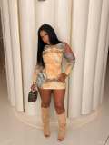Women's Long Sleeve Round Neck Mesh Mini Bodycon Dress
