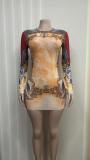 Women's Long Sleeve Round Neck Mesh Mini Bodycon Dress
