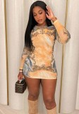 Women's Long Sleeve Round Neck Mesh Mini Bodycon Dress