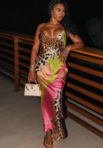 Women's Sexy Leopard Print V Neck Dress