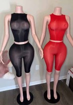 Women Sexy Stretch Shiny See Through Sleeveless Top and Capri Pant Two Piece Set Women Sexy Stretch Shiny See Through Sleeveless Top and Capri Pant Two Piece Set