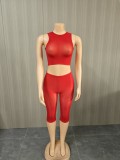 Women Sexy Stretch Shiny See Through Sleeveless Top and Capri Pant Two Piece Set