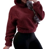 Women Fall Winter Fuzzy Bunny Ear Hooded Sweater