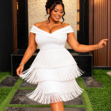 Plus Size Women Asymmetrical Neck Sleeveless Tassel Elegant Prom Dress