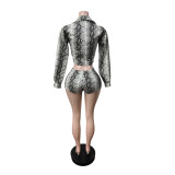 Women's Snake Print Faux Leather Shirt and Stretch Shorts Set