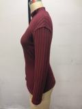Fall Winter Women's Solid Color High Neck Slim Fit Long Sleeve Basic Knit Top