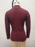 Fall Winter Women's Solid Color High Neck Slim Fit Long Sleeve Basic Knit Top