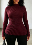 Fall Winter Women's Solid Color High Neck Slim Fit Long Sleeve Basic Knit Top