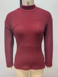Fall Winter Women's Solid Color High Neck Slim Fit Long Sleeve Basic Knit Top