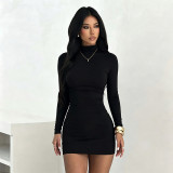 Women Korean Style Spring Autumn Turtleneck Bodycon Dress