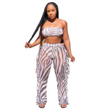 Mesh Women New Summer 3 Pieces Set