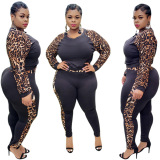 Plus Size Long Sleeve Fashion Two Piece Set