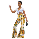 Printed High Waist Flared Trousers