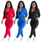 Long Sleeve Zipper Sporty Two pieces Outfit