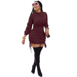 Long Sleeve Solid Color Dress