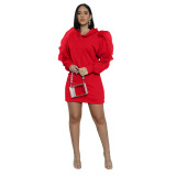Fashion Ruffle Sleeve Hoodies Dress