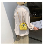 Fashion Chain Zipper Bags