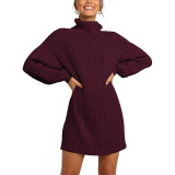 2021 Winter New Fashion Women's High Neck Mid-length Sweater Sweater Dress