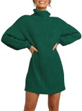 2021 Winter New Fashion Women's High Neck Mid-length Sweater Sweater Dress